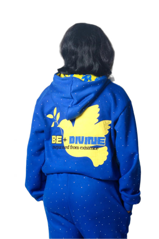 Blue/Yellow Hoodie